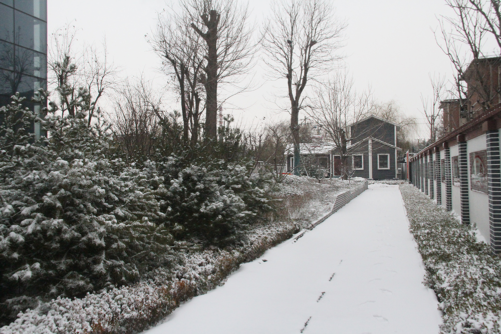 1581774129544413.jpg 1581774129544413.jpg